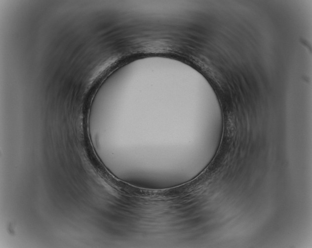 X0000097870535200804041553