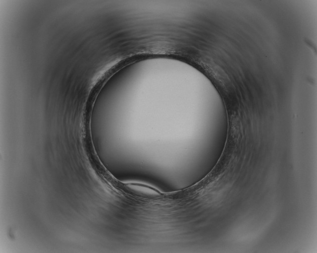 X0000097870536200804041553