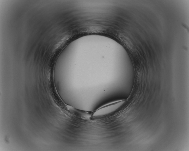 X0000097870539200804041553