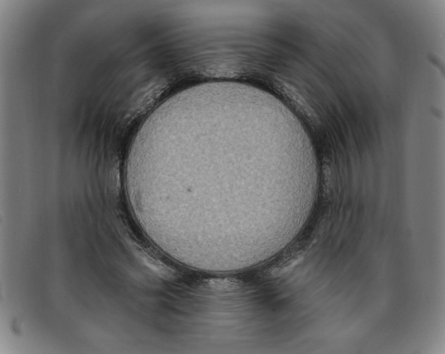 X0000097870541200804041553
