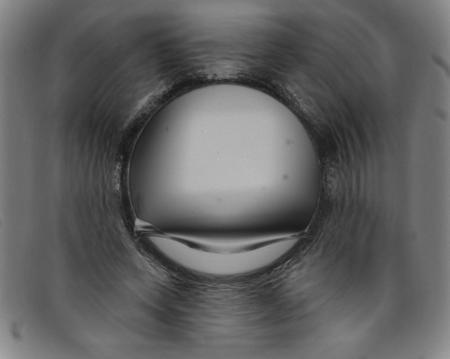 X0000097870543200804041553