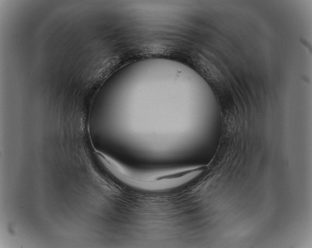 X0000097870546200804041553