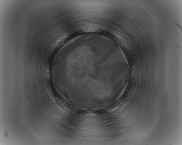 X0000097870547200804041553