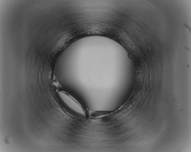 X0000097870548200804041553