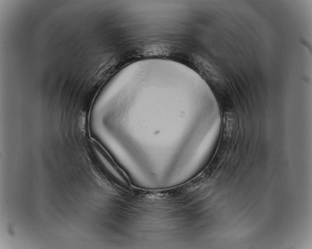 X0000097870550200804041553