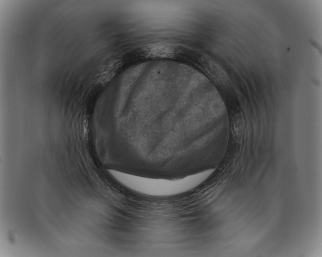X0000097870551200804041553