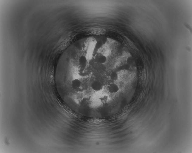 X0000097870553200804041553