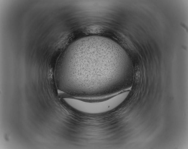 X0000097870555200804041553