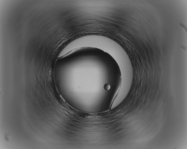 X0000097870556200804041553