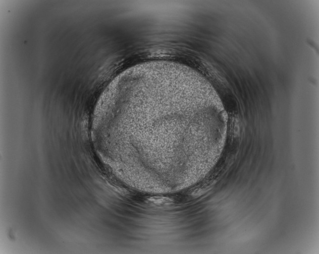 X0000097870557200804041553
