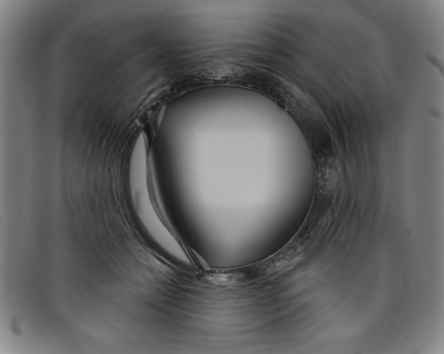 X0000097870558200804041553
