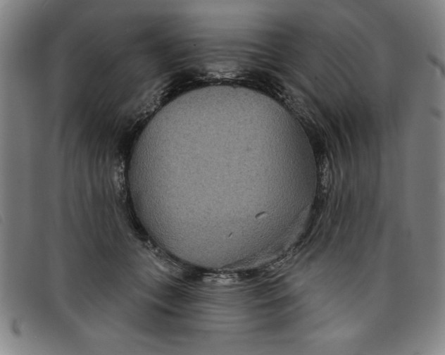 X0000097870559200804041553