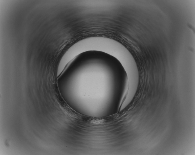 X0000097870560200804041553