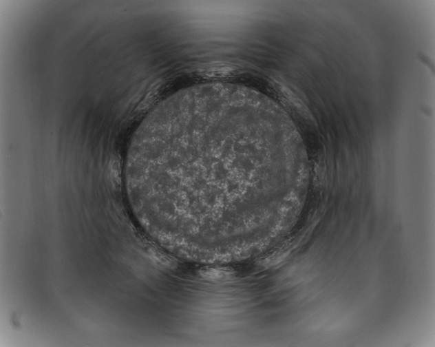 X0000097870561200804041553