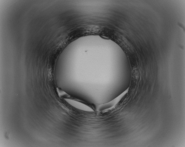 X0000097870564200804041553