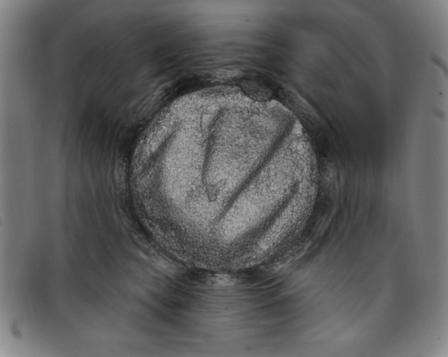 X0000097870565200804041553