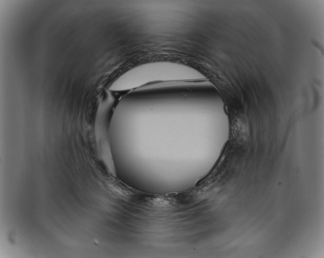 X0000097870566200804041553