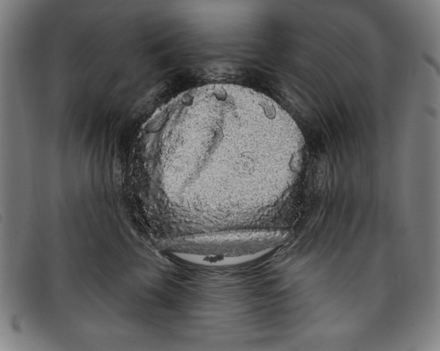 X0000097870569200804041553