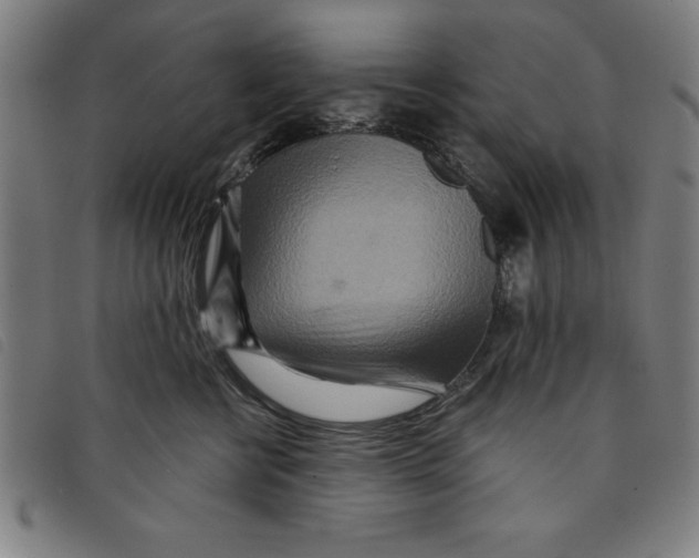 X0000097870570200804041553