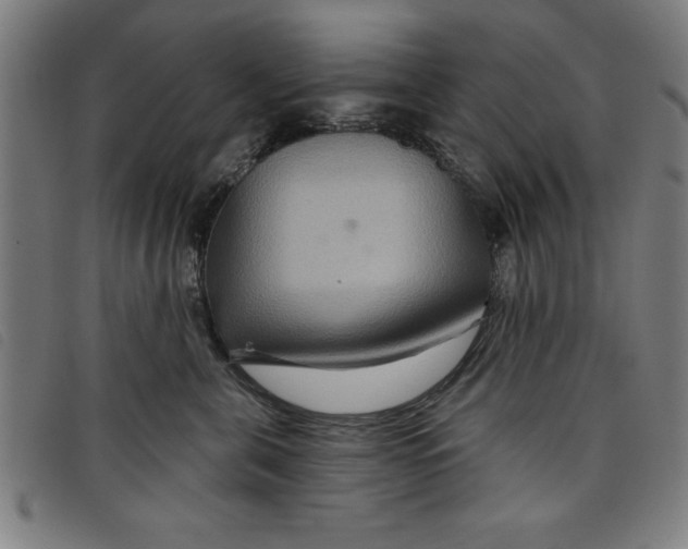 X0000097870571200804041553