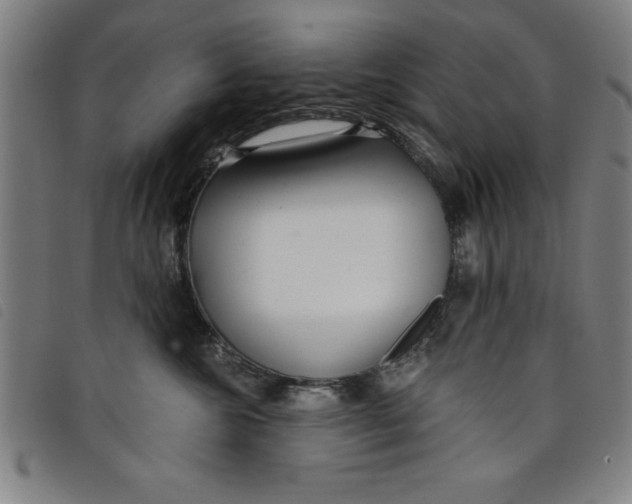 X0000097870572200804041553