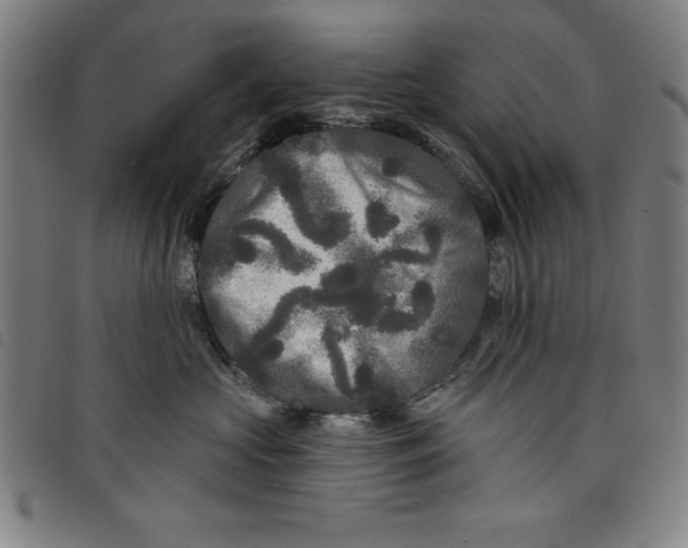X0000097870573200804041553