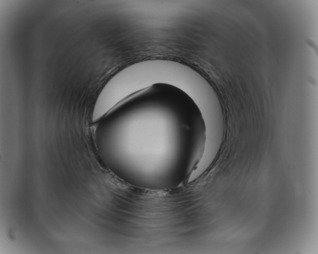 X0000097870576200804041553