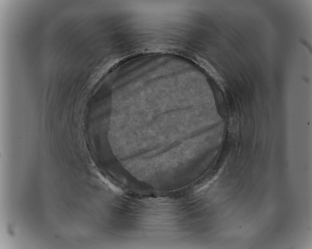 X0000097870577200804041553