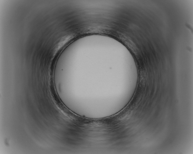 X0000097870578200804041553