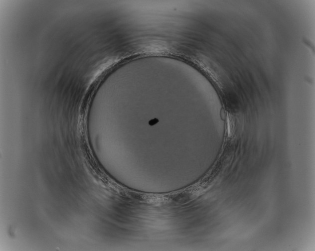 X0000097870579200804041553