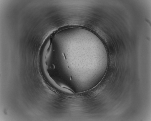 X0000097870580200804041553