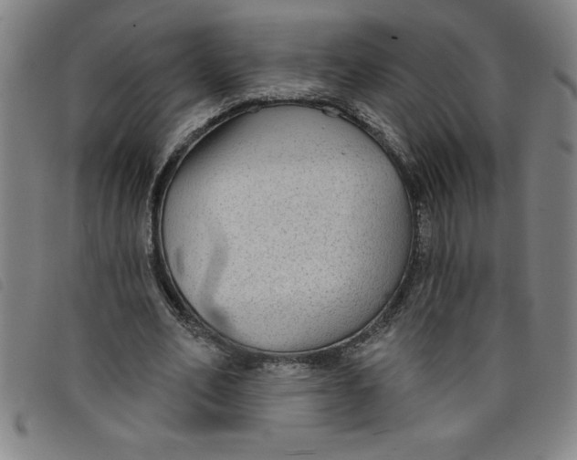 X0000097870582200804041553