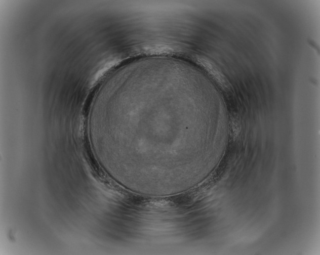 X0000097870583200804041553