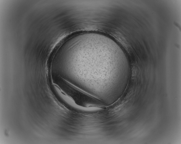 X0000097870584200804041553