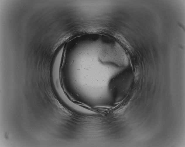 X0000097870585200804041553