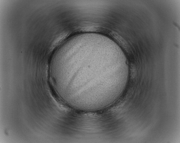 X0000097870586200804041553