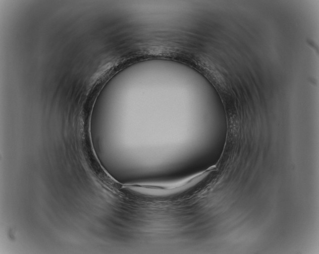 X0000097870587200804041553