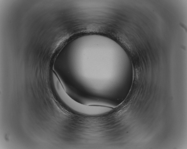 X0000097870588200804041553