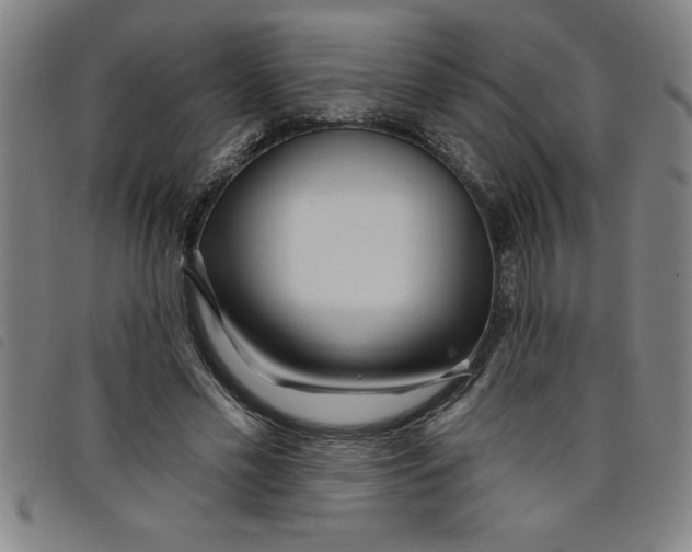 X0000097870589200804041553