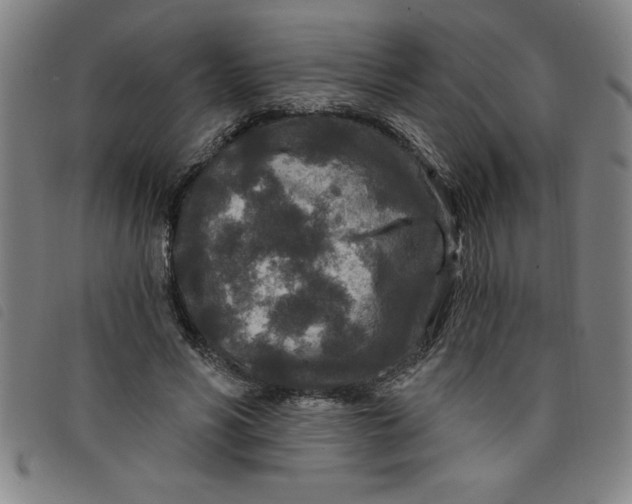 X0000097870590200804041553