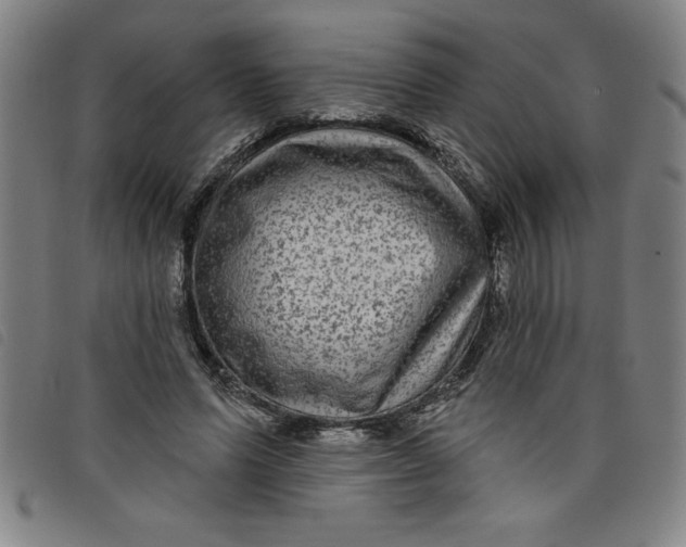 X0000097870591200804041553