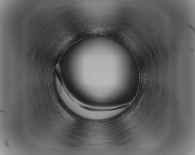X0000097870593200804041553