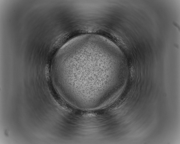 X0000097870594200804041553