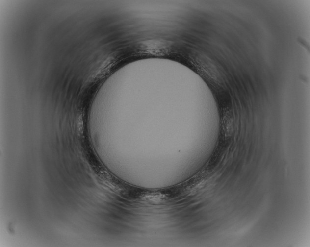 X0000097870595200804041553