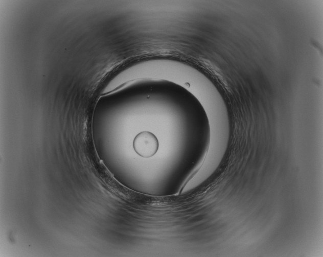 X0000097870596200804041553