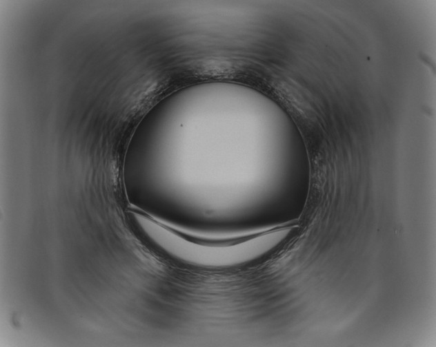X0000097870597200804041553