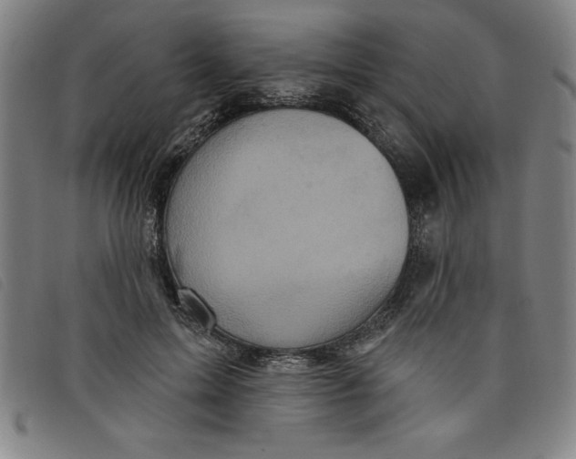 X0000097870599200804041552