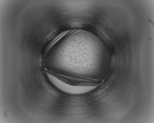 X0000097870600200804041552