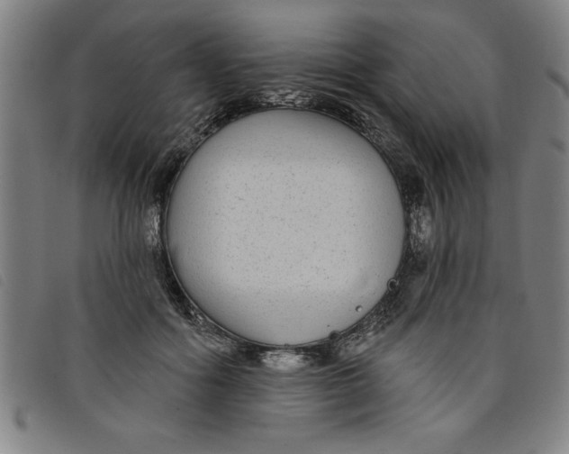 X0000097870602200804041552