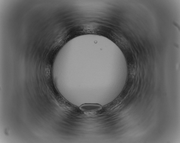 X0000097870603200804041552